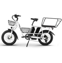 Electric bicycle PHILODO Traveller, 750W motor, 48V 35Ah battery, top speed 45 km/h, cruising range 120km, 20x3.0 inch tires balta