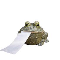 Novelty Frog Tissue Box Holder Resin Bathroom Tissue Dispenser Decorative Frog Shaped Napkin Holder for Home and Office One Size