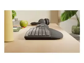 „Logitech Signature Comfort Plus Combo MK880 for Business“ klaviatūra ir pelė, pilkos spalvos