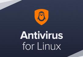 Avast Business Antivirus for Linux, New electronic licence, 1 year, volume 1-4, Price Per Licence | Avast | Business Antivirus f