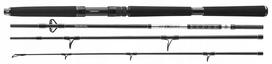 Meškerė Daiwa BG Offshore Travel 2.40m 50-200g 4d.
