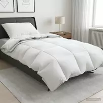 90% žąsies pūkų antklodės komplektas FULDA 2 vnt. 150 x 200 cm