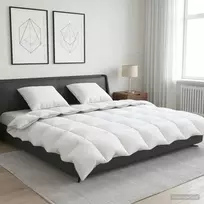 90% žąsies pūkų antklodės komplektas FULDA 3 vnt. 220 x 240 cm