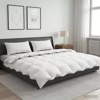 90% žąsies pūkų antklodės komplektas FULDA 3 vnt. 220 x 240 cm