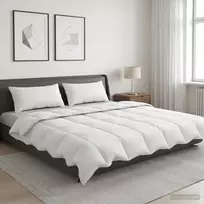 Antklodė FULDA 200 x 200 cm Vasara 100 GSM 90% žąsų pūkai Balta
