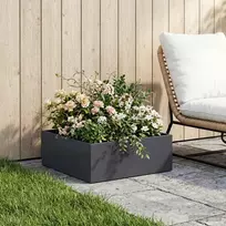Sodo vazonas Antracito 40 x 40 x 20 cm Šaltai valcuotas plienas