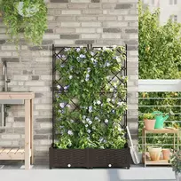 Sodo vazonas 2 vnt. Ruda 80 x 40 x 125,5 cm PP