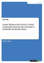 Gothic Element, Plot Device or More? Comparison between the portrayal of Heathcliff and Bertha Mason