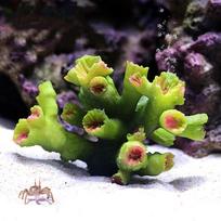Artificial Resin Coral Underwater Fake Plant Ornament Aquarium Ornaments Landscaping Fish Tank Decoration