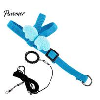 Adjustable Parrot Flight Suit Harness And Leash, Bird with 2m Elastic Traction Rope Training Rope, Cute Wings for Conure Small Birds Escape Proof Middle 2