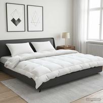 Antklodės ir pagalvių rinkinys 3 vnt. 220x240 cm 4 metų laikai