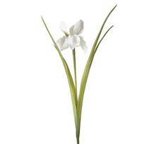 26  Artificial Iris Flower, Real Touch Fake Flower Bouquet with Long Stem for Flower Arrangement, Wedding Centerpiece, Bridal Bouquet, Home Kitchen