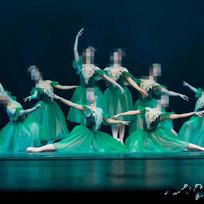 Ballet Performance Tutu Skirt for Competitions and Exams - Spring/Summer Gymnastics Wear 120 cm