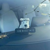Pliušinės šuniuko lėlės sankabos dekoras, automobilio valytuvų posūkio signalo jungiklio dekoracija, kawaii šuns formos automobilio valytuvų lėlės automobilio interjero aksesuarai gray