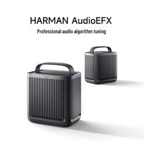 Xiaomi Harman Kardon Outdoor Portable Bluetooth Speaker CN plug (adapter included)