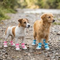 4pcs Air Permeable Mesh Upper Dog Mesh Booties Non Slip Dog Socks  Small Pet Paw Care