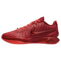 Nike LeBron 21 James Gang sportbačiai HF5951-600 41 raudona