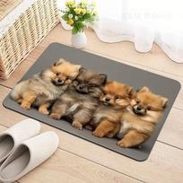 Lovely Pomeranian Dog Welcome Doormat Four Cute Puppies Pattern Floor Mat Animal Lover Entryway Rug Front Door Carpet 40X60CM