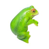 Miniature Frog Figurine Plant Pot Decoration Funny Resin Frog Garden Statue Cute Animal Frog Planter Hugger for Flower Yard Lawn Decor E