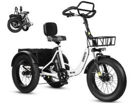Eskute T302 Pro Urban heavy-duty electric bicycle 250W motor 48V 20.8Ah battery 20x4-inch tires mechanical disc brakes.