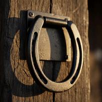 Tvirtas žirgo kryžminis žiedas Geležinis juodas žirgo saugos žiedas Sunkiųjų tvirtinimo varžtai Žirgo tvirtinimo žiedas Priekaba Horse Tie Ring beige