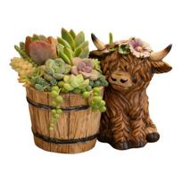 Highland Cow Planter Cute Resin Cow Flower Pot Small Decorative Plant Pot Succulents Planter for Indoor Outdoor 1pc