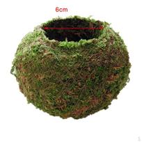 Ball er, , Various Size 6cm