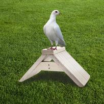 Dove Rest Stand Cage Accessories Breeding Supplies Shelf Pigeon Perch Bird Standing Rack for Parrots