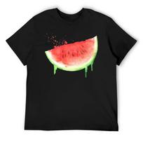 Watercolor Watermelon unisex T-Shirt Basketball Graphic Tees unisex T-Shirts Oversize Street Wear Topping Mens Workout Shirts S