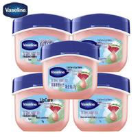 Vaseline Gaivus arbūzų lūpų balzamas 5 vnt. pakuotė
