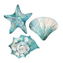 3 Pcs Wooden Rustic Beach Wall Art Ocean Coastal Nautical Seashell Starfish Couch Wall Decor for Living Room Bedroom Lake House Decor Sets