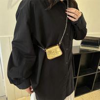Multi Color Crocodile Mini Chain Crossbody Bag, Gold Chain Strap Purse Mini Lipstick Pouch for Women, Fashion Party Accessory