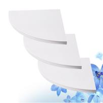 3 PCS/Set Corner Shelf Bookcases Bookshelf Decor Circle Wall Shelves for Bedroom Shine