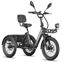 Electric Bicycle Fafrees F20 Mate 250W Motor Dual Disc Brakes Top Speed 25km/h Foldable Electric Cargo Bike 48V 21AH Max Load 180Kg