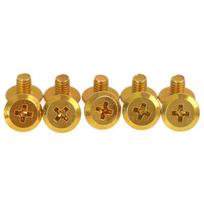 10Pcs Hair Clipper Fixed Bit Screws for WAHL 8148 Bit Screw Two Hole Knife Holder