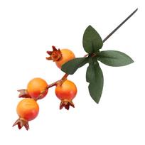 Offices Decoration Pomegranate Simulated Package Contents Pomegranate Diameter