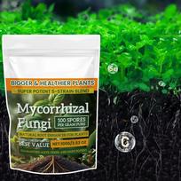 100g Plant Growth Enhancer Powder Multi-Purpose Rooting Supplement Fertilizer for Soil Culture & Mixed Plant Care 100g