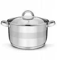 INDUKCINIS PUODAS Dujos, KIETAS, NERŪDIJA, Tadar Roger II dangtis, 5,7 l, 24 cm