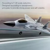 click4TOYS RC Airplane 2,4 GHz RC Plane Sklandantis lėktuvas F22 aiflystore AG