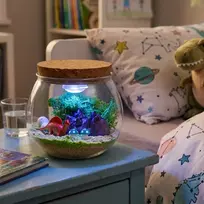 Bez Marki „Pasidaryk pats“ DINOZAUURŲ RINKINYS KŪRYBINGAS MAGICAL TERARIUM LED FONINIS ŠVIETIMAS + NUOTOLINIO PULTAS