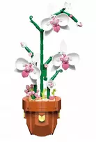 ORCHIDĖJA VAODYJE IŠ BLOKŲ KONSTRUKCINIAI BLAKAI ORCHIDĖJŲ MOTERS DIENA