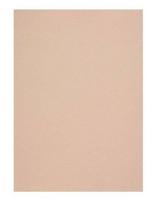 Popierius Curious Metallic A4 120g Nude 408158