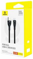 Laidas Baseus P10311804111-01, USB Type C/USB Type A, 200 cm, juoda sp., 100 W