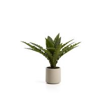 Dirbtinis sukulentas (aukštis 70 cm) Neottopteris – Kave Home