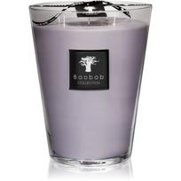 Baobab Collection All Seasons White Rhino kvapioji žvakė 3000 g