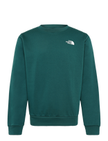 The North Face - M Evolution Box Nse Regular Crew - Sportinis megztinis - Žalia