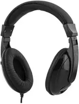 HL-51C ausinės DELTACO su garso reguliatoriumi, USB-C, juodas / HL-51C / 1903272