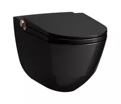 Pakabinamas unitazas su bidė funkcija Laufen CLEANET RIVA, pakabinamas, tiesioginis nuleidimas, Rimfree, sėdynė su SoftClose dangčiu ir QuickRelease mechanizmu, su nuotolinio valdymo pulteliu, H8206910240001