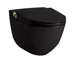 Pakabinamas unitazas su bidė funkcija Laufen CLEANET RIVA, pakabinamas, tiesioginis nuleidimas, Rimfree, sėdynė su SoftClose dangčiu ir QuickRelease mechanizmu, su nuotolinio valdymo pultu, H8206917180001