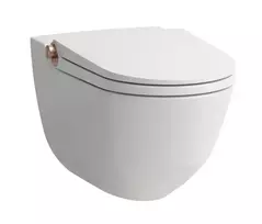 Pakabinamas unitazas su bidė funkcija Laufen CLEANET RIVA, pakabinamas, tiesioginis nuplovimas, Rimfree, sėdynė su SoftClose dangčiu ir QuickRelease mechanizmu, su nuotolinio valdymo pultu, H8206917640001